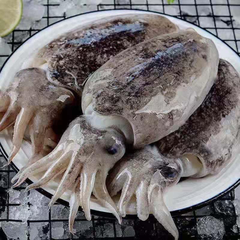 ޱ¡ձҰīĿ㺣īĿ