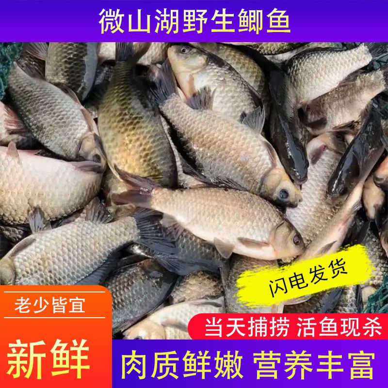 ҰССʻ䶳