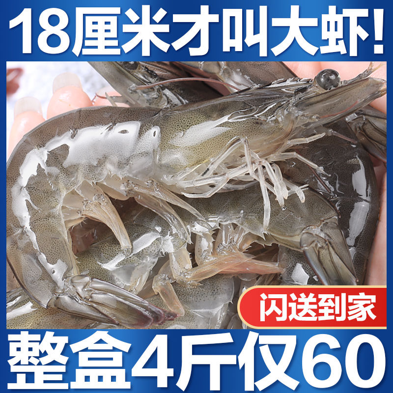 ƻൺϺˮϺʻ䶳ϺϺʺϺ