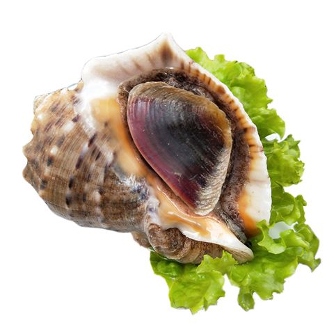 ʻˮʱݻݳҰ
