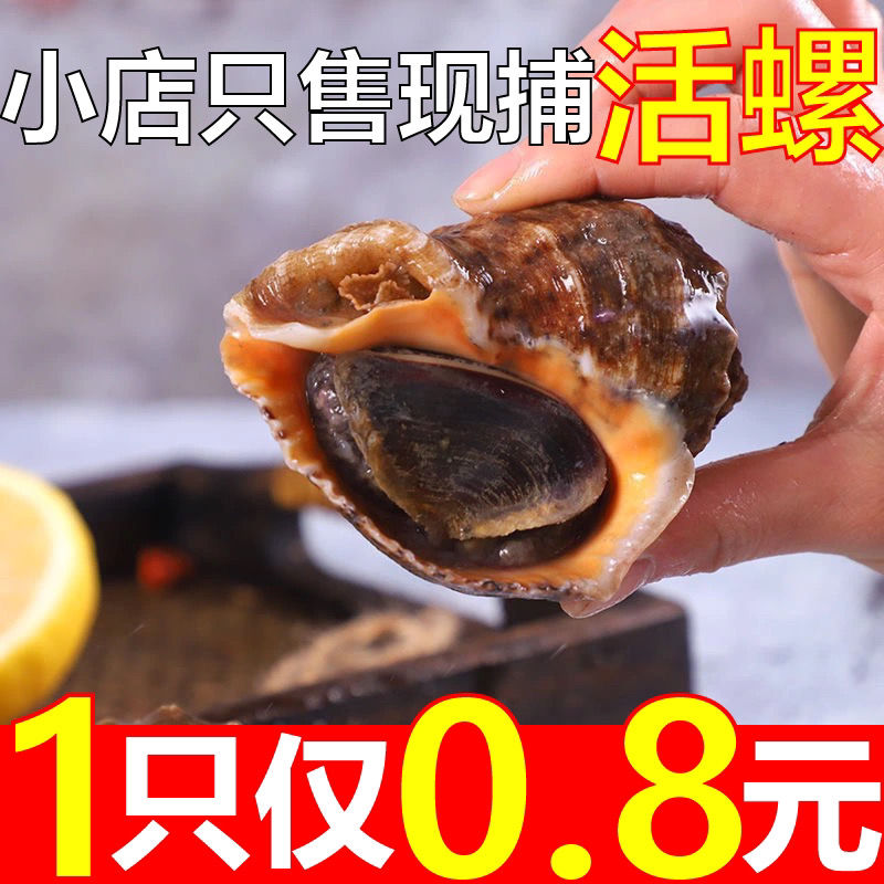 ʻݰһشСݳ