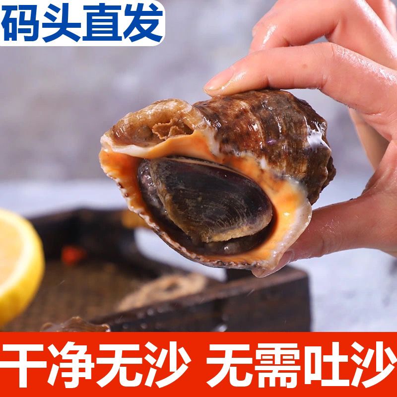 ʻݰһشСݳ