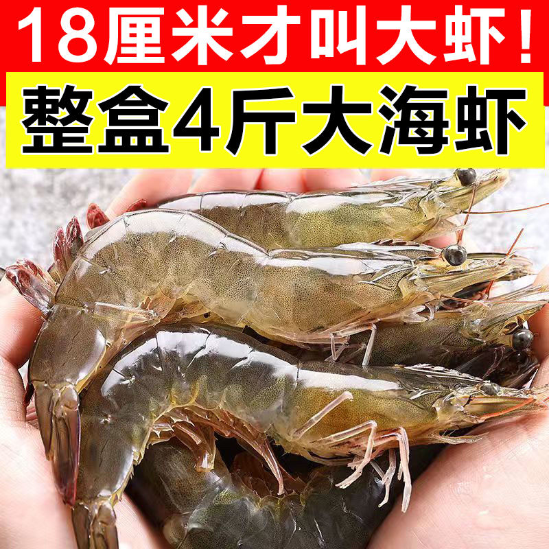 ƻൺϺˮϺʻ䶳ϺϺʺϺ