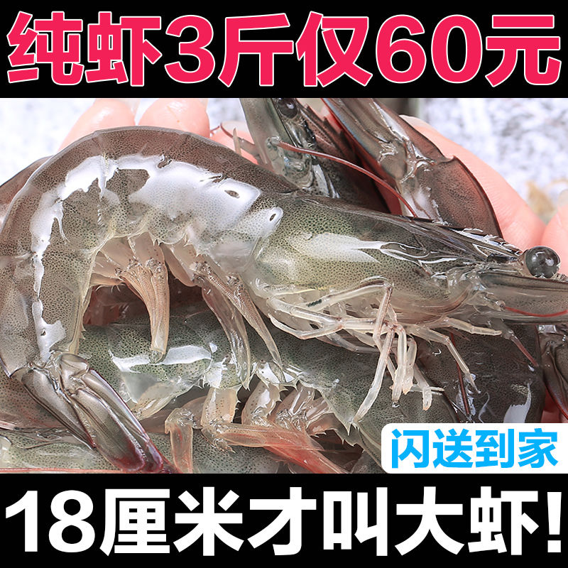 ƻൺϺˮϺʻ䶳ϺϺʺϺ