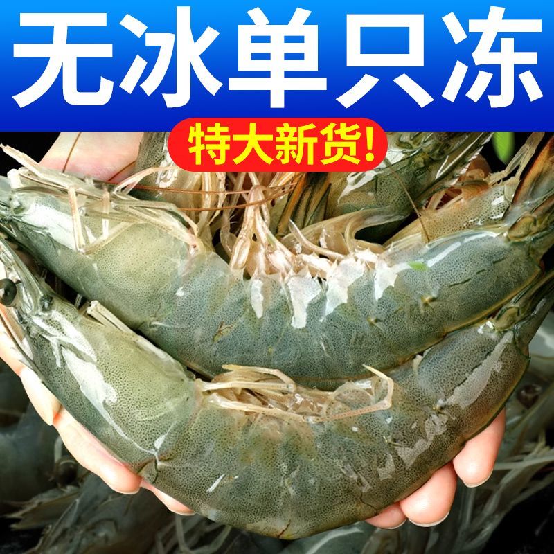ޱൺϺشҺ䶳ϺϺϺ3ΧϺ
