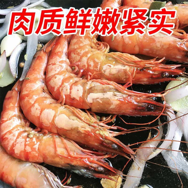 ޱൺϺشҺ䶳ϺϺϺ3ΧϺ

