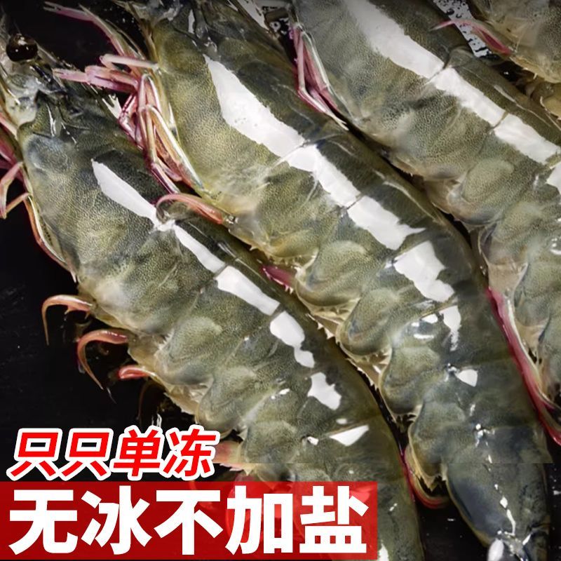 ޱൺϺشҺ䶳ϺϺϺ3ΧϺ
