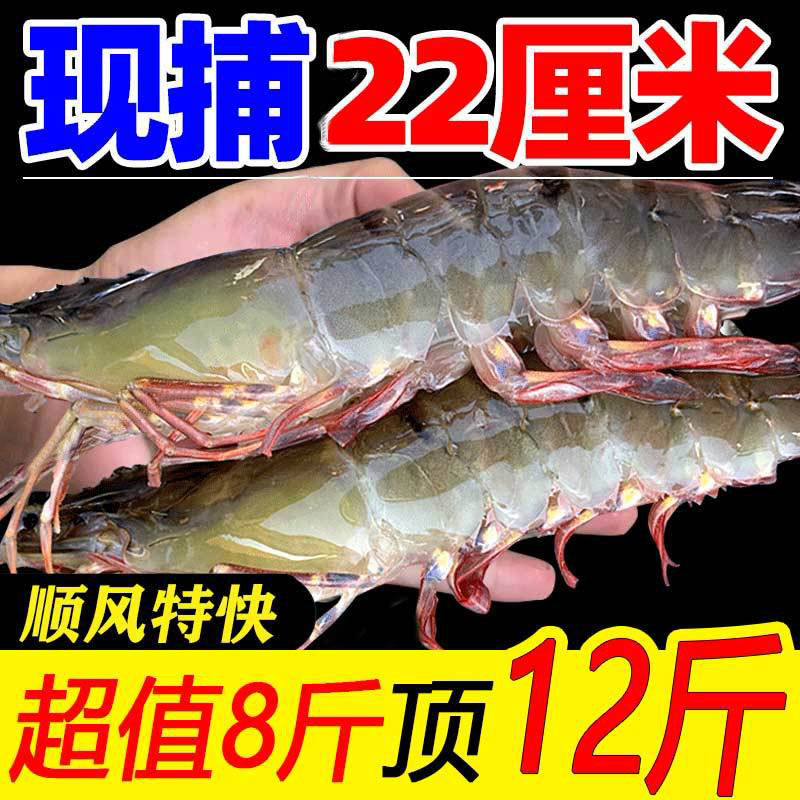 ൺϺʻ䶳ʴϺϺΧϺϺˮ