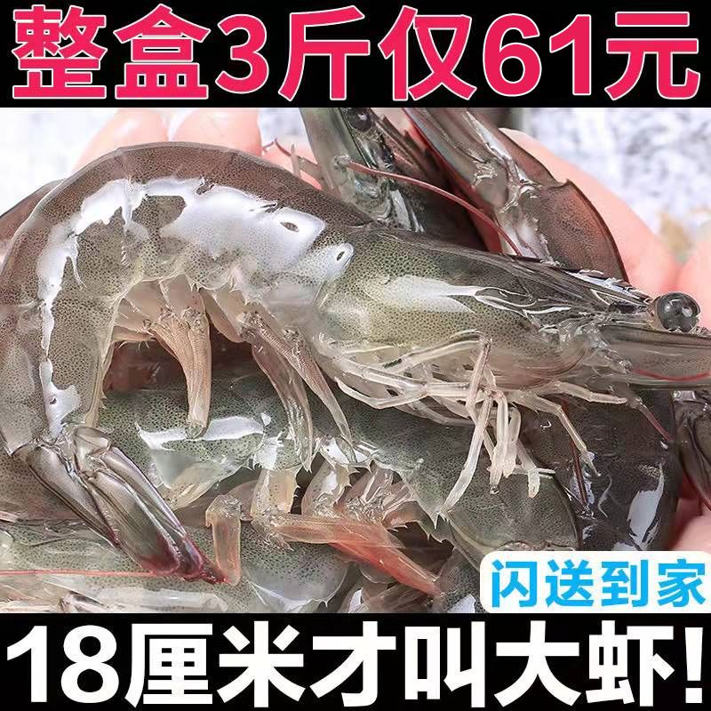 ƻൺϺˮϺʻ䶳ϺϺʺϺ