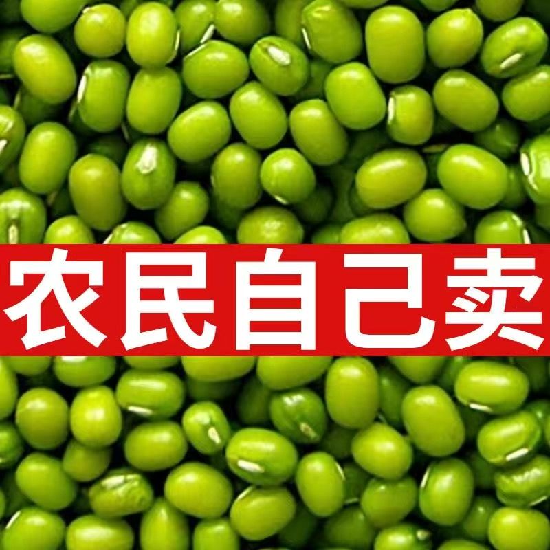 ۻˡ̶궫̶̶ѿ
