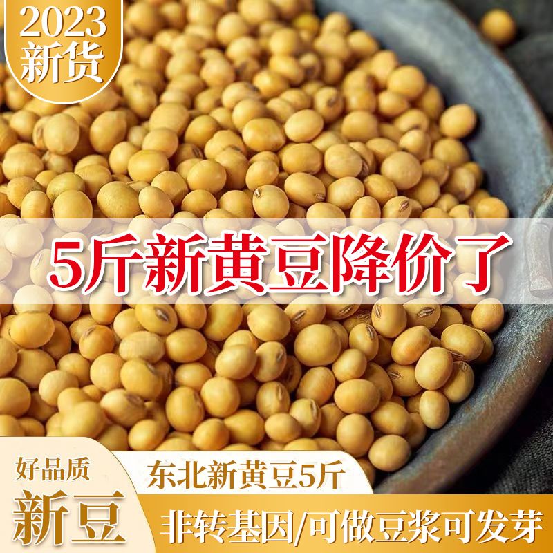 ڶ5ﶫƶʴ󶹷תӶԭӪ1
