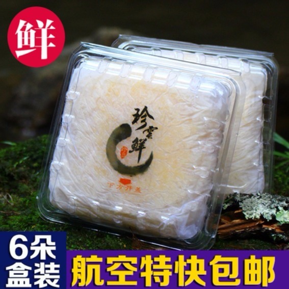 6װȻѩʻǸɻľŴེ
