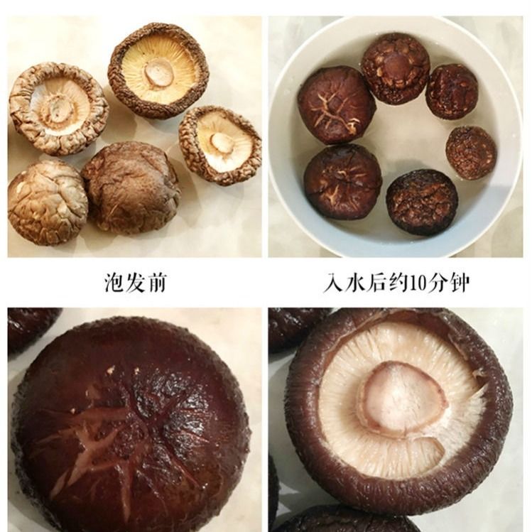 2023» Ͽ㹽 㹽ɻ 㹽  㹽Ģ 500g/250g