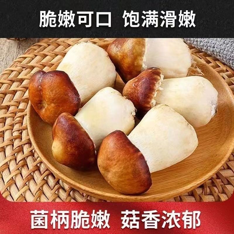 ϸԭֻװǼ׾Ƶ
