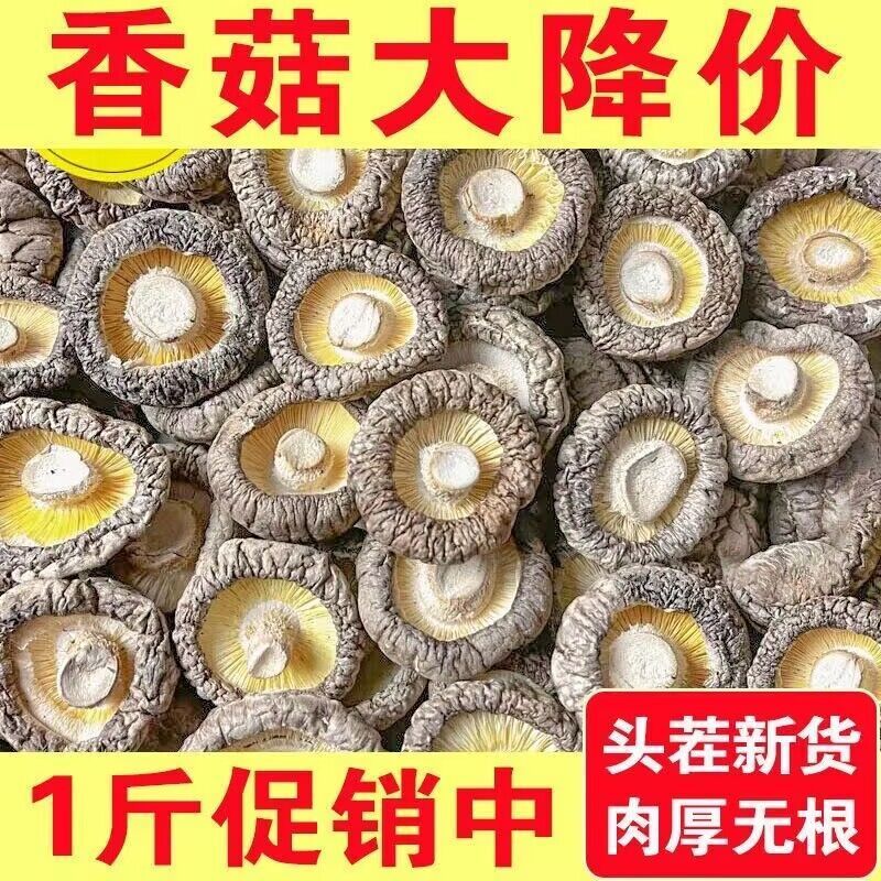 㹽ɻ»ũ޸㹽ʳĢ