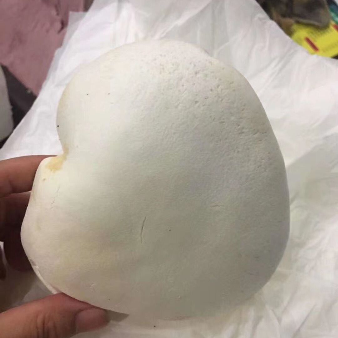 ʰ鹽Ģ ʳĢ Ƶ극곴ʳĶѡ
