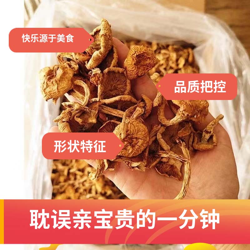 ˰뻬ӹʺĢСĢСӹһ
