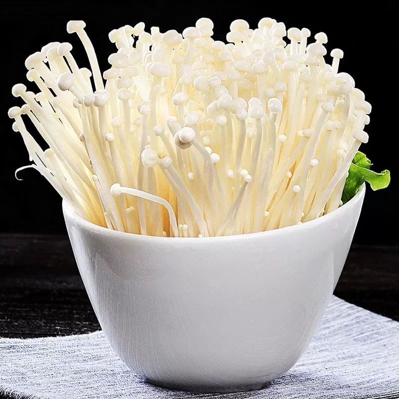 ʽ빽̲տ˼ûտӪũժ

