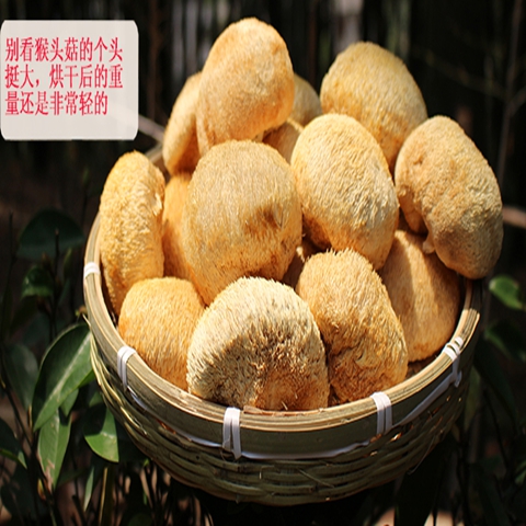 ũԲȻ 250g/ 500gɻ» ؼ۴ͷ
