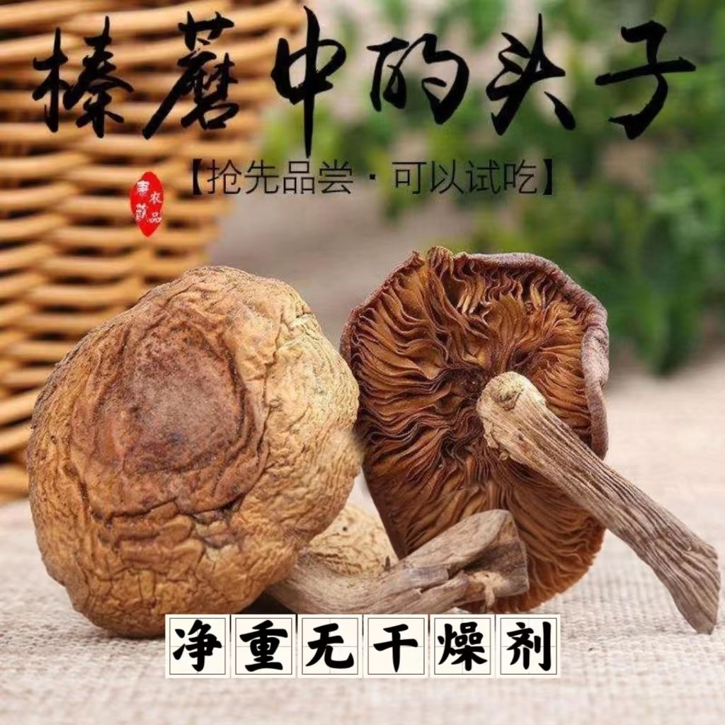 










زҰĢȥ޽СĢɻĢҰĢ 