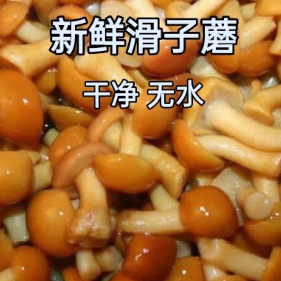 زκʻĢӹ峴̻