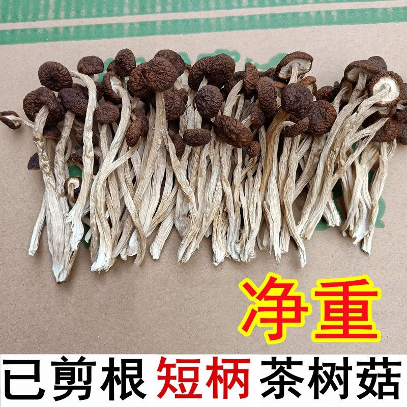 ɡ޸ʼŸɻ۰500g
