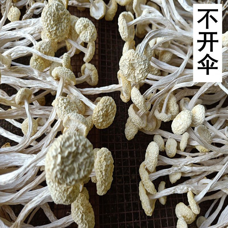ɡ޸ʼŸɻ۰500g
