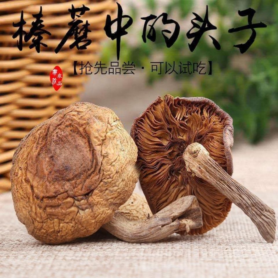 










زҰĢȥ޽СĢɻĢҰĢ 