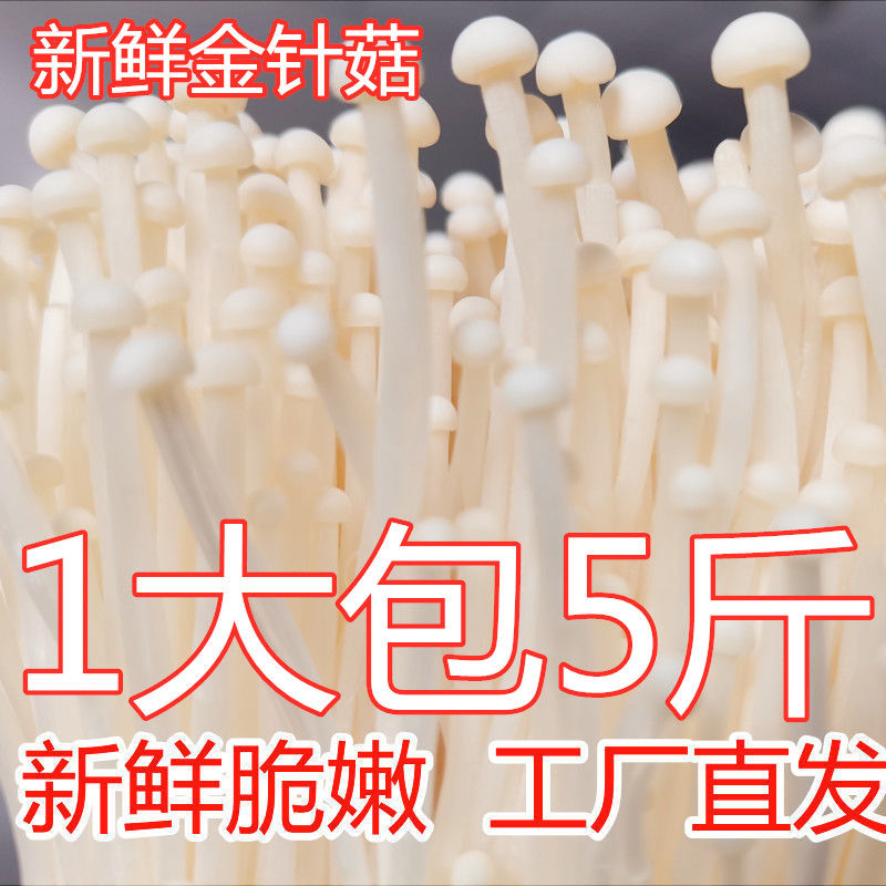 ʡ빽빽ɫ빽ʳ
