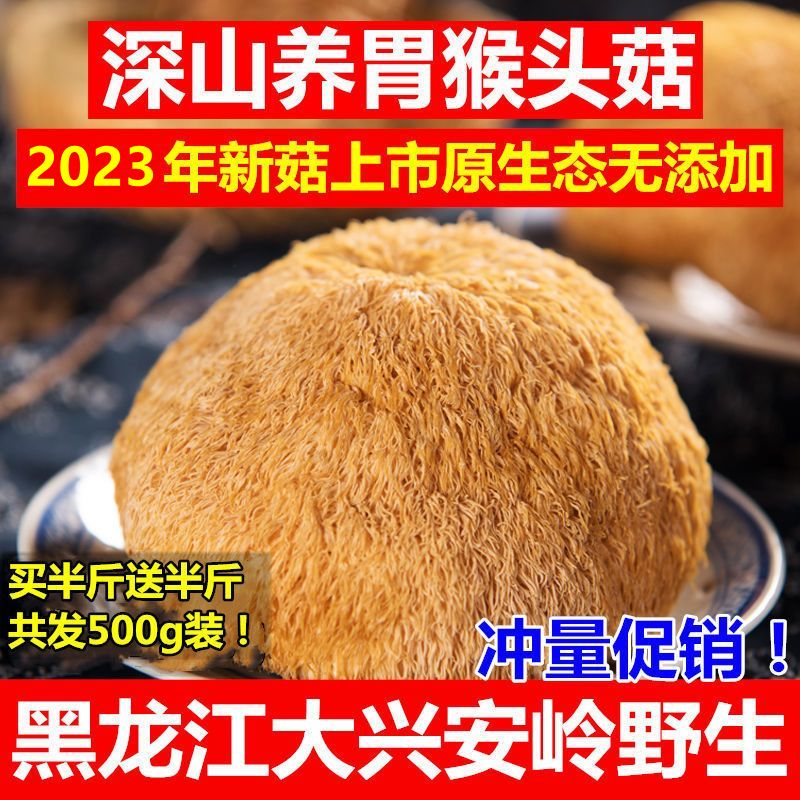 2023»ͷθزʳþ˰Ұɻﹽʺͷ