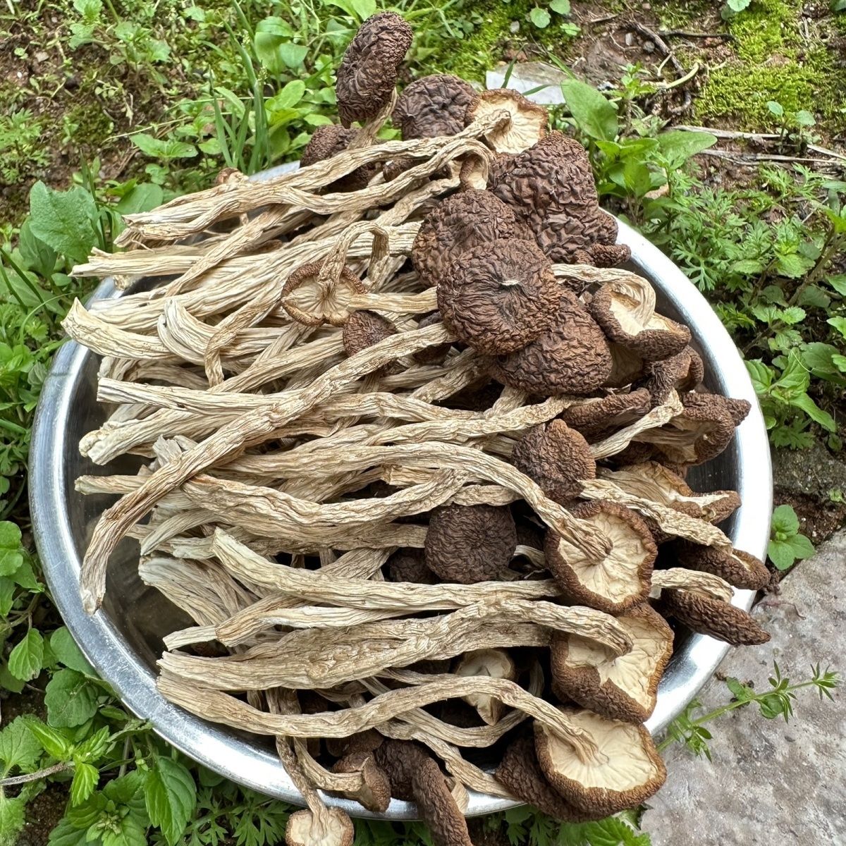 ɡ޸ʼŸɻ۰500g
