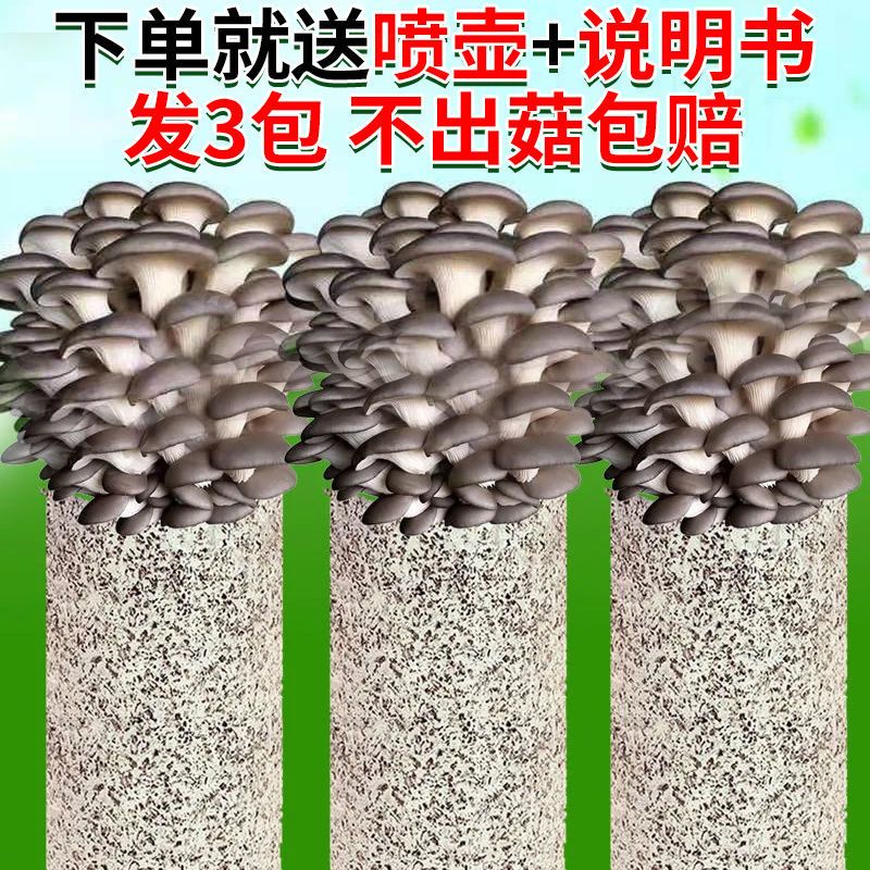 ⡿Ģֲֺƽʳþ㹽Ȥζ̨
