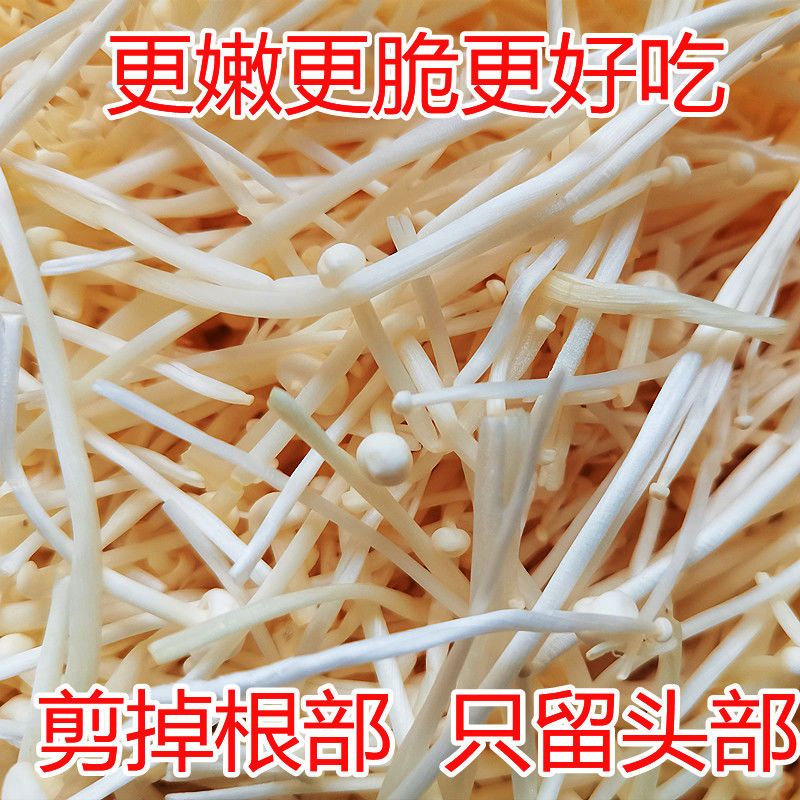 ʡ빽빽ɫ빽ʳ
