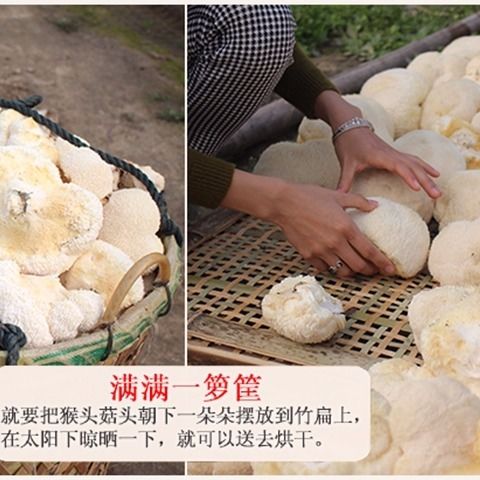 ũԲȻ 250g/ 500gɻ» ؼ۴ͷ