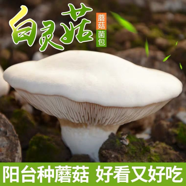 鹽ֲֲ̨ͥÿֺóĢ־ֲ

