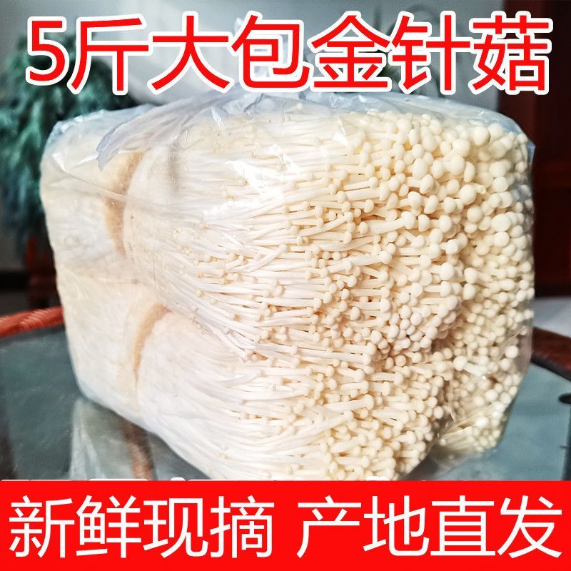 ʡ빽빽ɫ빽ʳ
