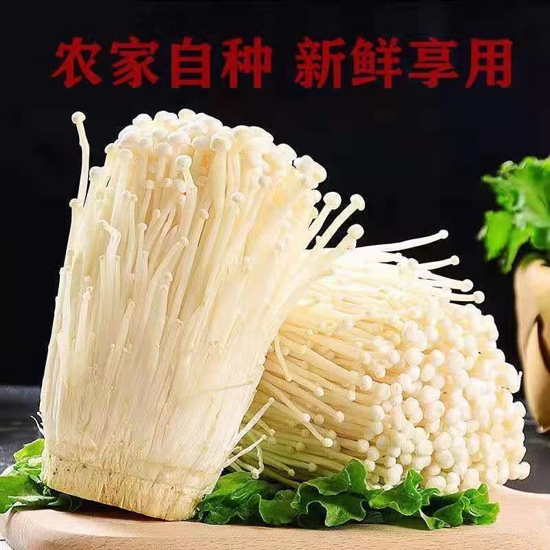 ʽ빽̲տ˼ûտӪũժ
