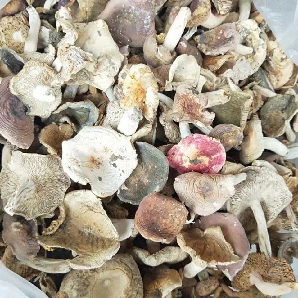 ҰͷӾĢɻũԲزζɽ500g250gʡ222շ꡿

