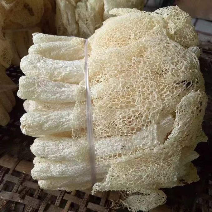 ݥɻزҰݥϹزȹʳþ
