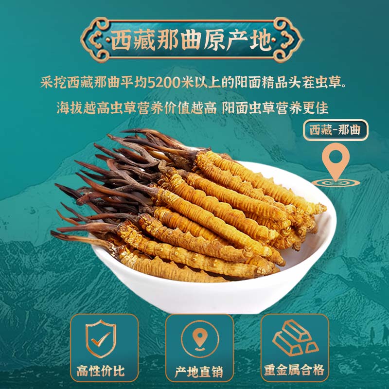 ٷ콢Ĳͷʳװزɻ
