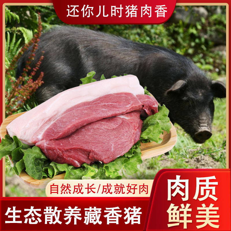 ڲźɱл廨
