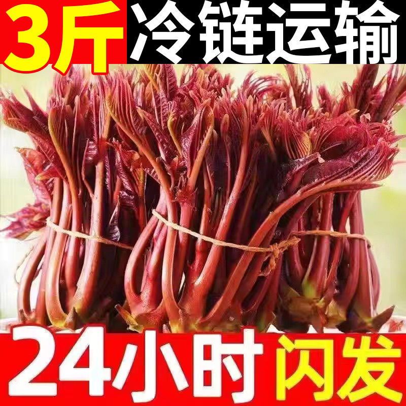 2024㴻ѿѿͷ紺ũժ㴻Ҷؼ߲ѿ 2
