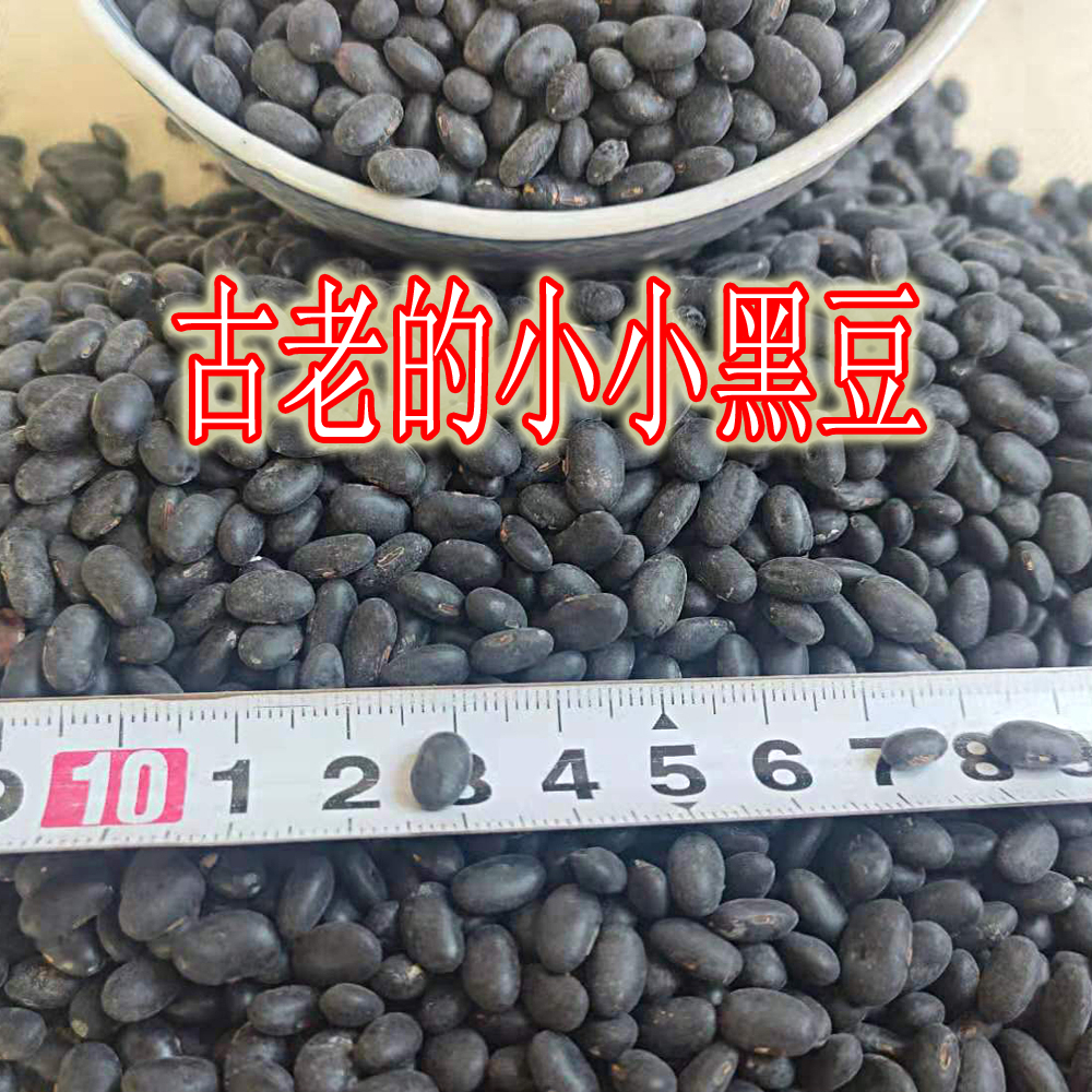 ҩûСڶũֵ򶹽רŻоɢװ2װ
