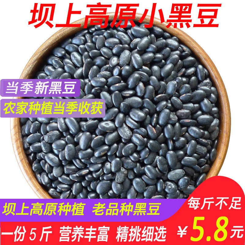 Сڶ ũֺС Ʒֺݺѿ¶5
