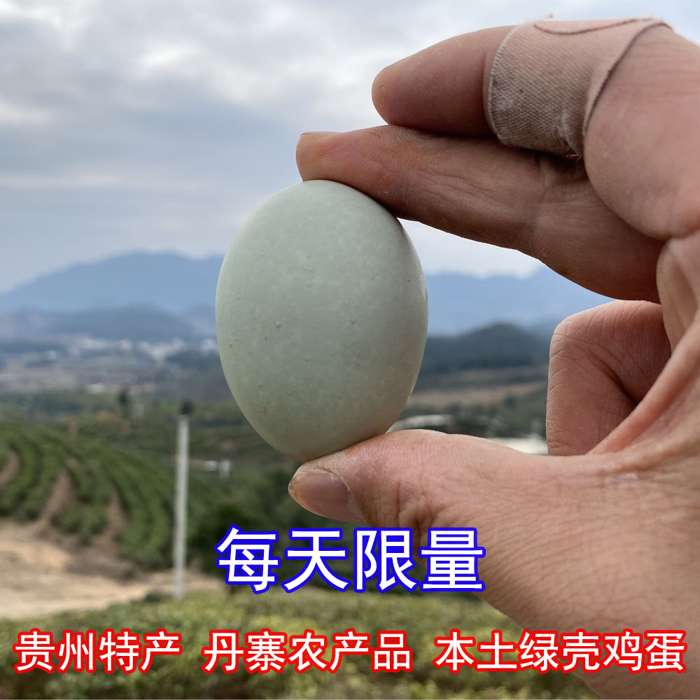 2024زկũƷ̿Ǽɢũʼ30ö
