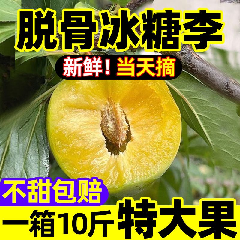 ʡ10+Ĵѹߺʵˮ