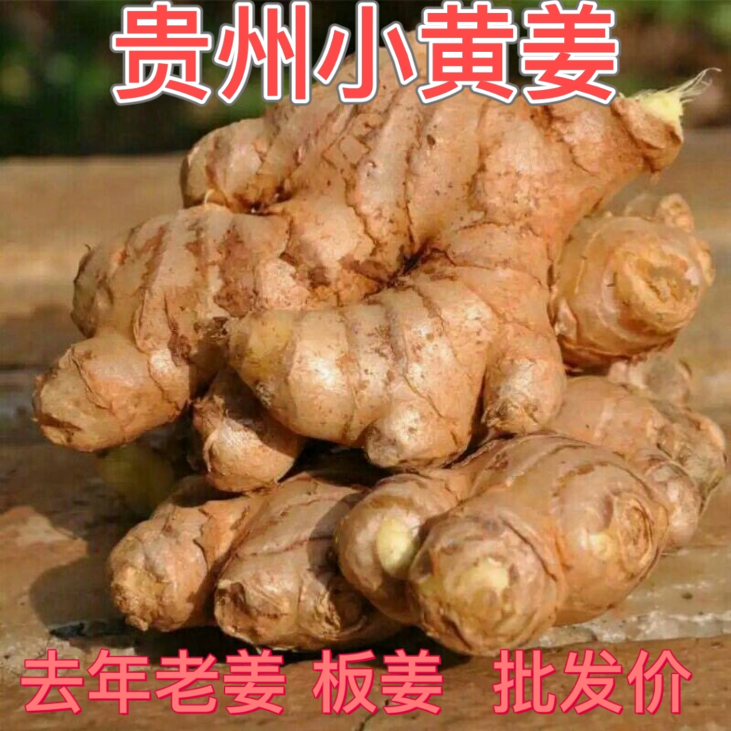СƽϽӽĸʳַӴȻ 3
