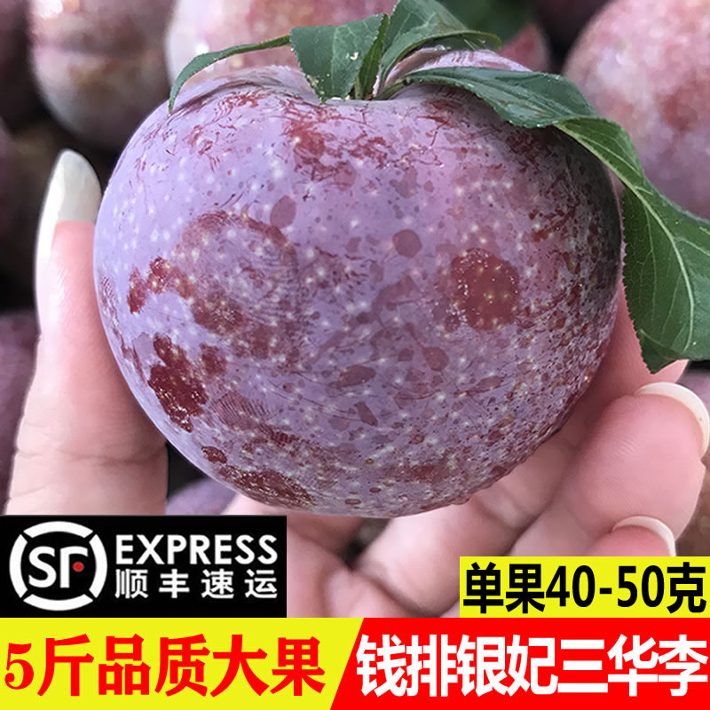 Ǯˮи൱˳5
