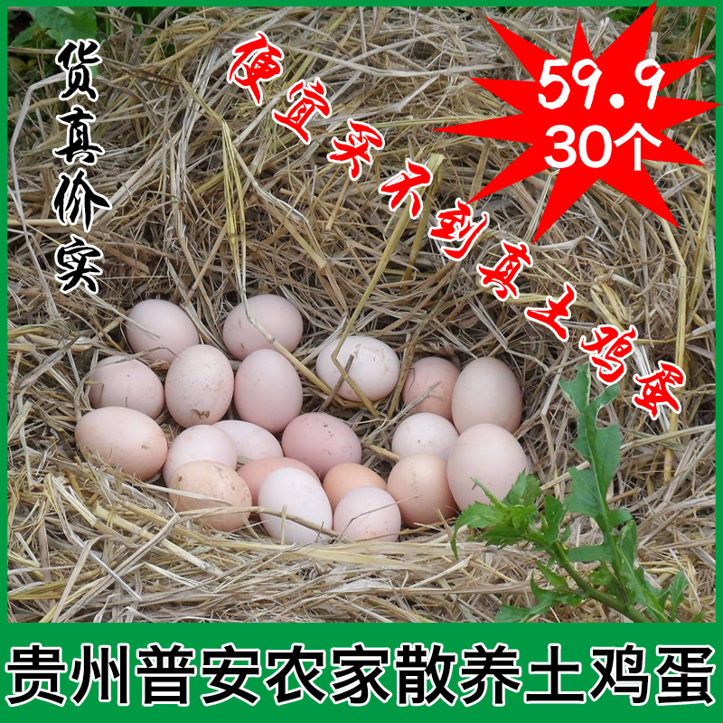հزũҰɢհزӵ30ö