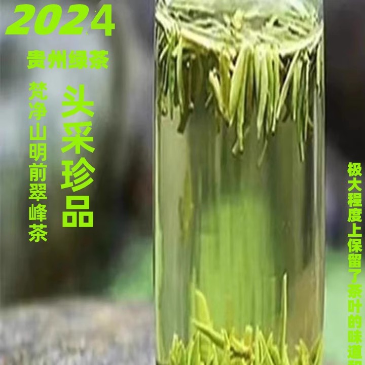 2024̲ɽǰͷɴ ȸҶŨ㳴ؼ